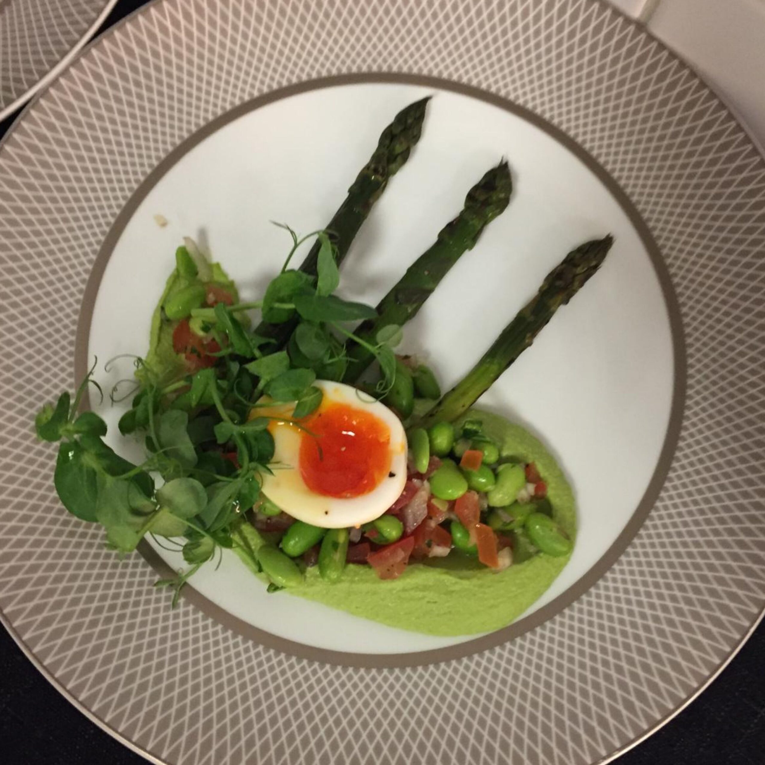 chef alpay plate 3